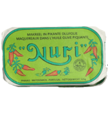 Nuri Nuri-Makrele in würzigem Olivenöl