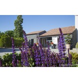 Domaine Sainte Lucie MIP Rosé Classic 0,75L