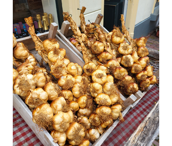 Smoked Garlic - 12 bulbs