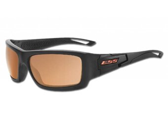 Credence (Black Frame - Mirrored Copper Lenses)