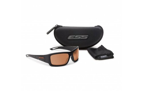 Credence (Black Frame - Mirrored Copper Lenses)