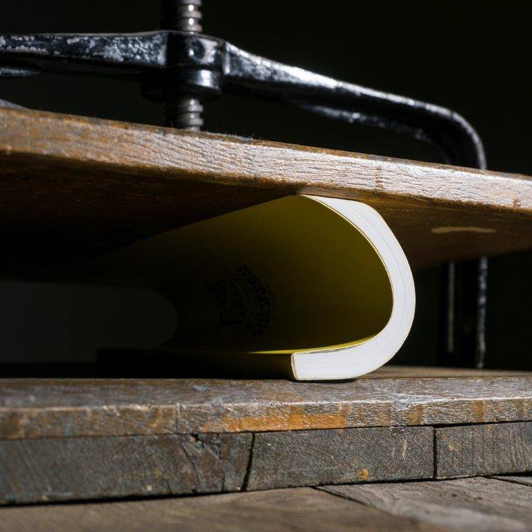 All Weather Notebook No. 374 (Yellow)