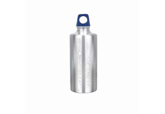 Stainless Bottle 500