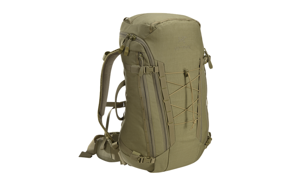 Assault Pack 30 (Crocodile)