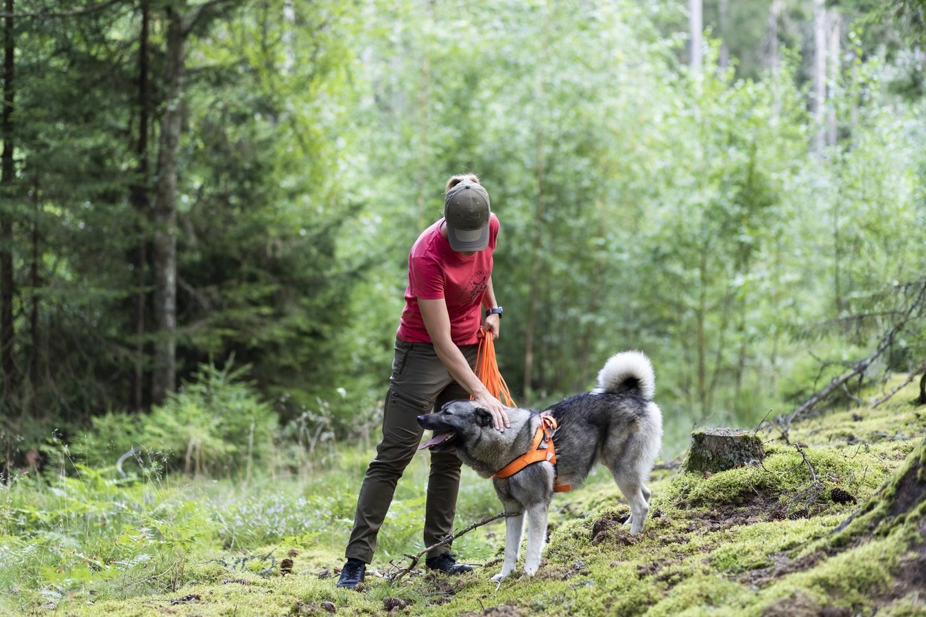 Dames Finnveden Hybrid Broek (Roze Bruin/Antraciet)