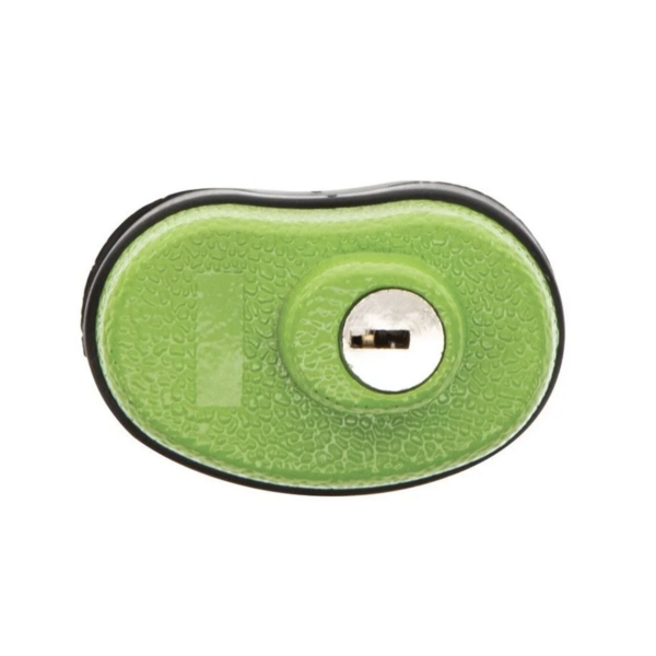 Trigger Lock with Key
