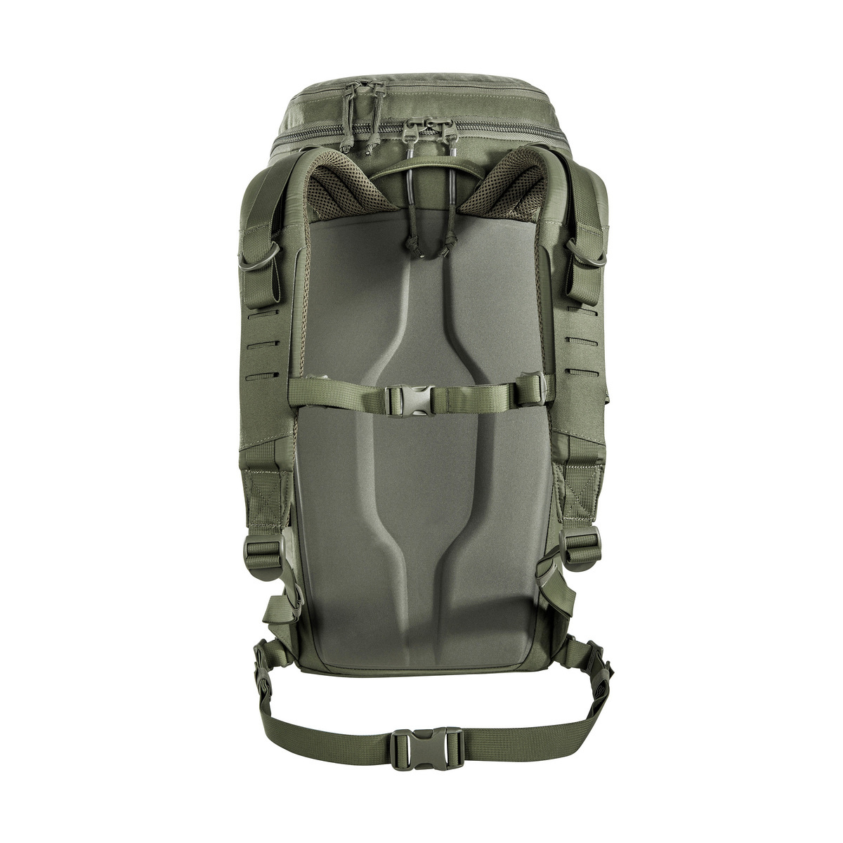 Companion Daypack 30L (Olive)