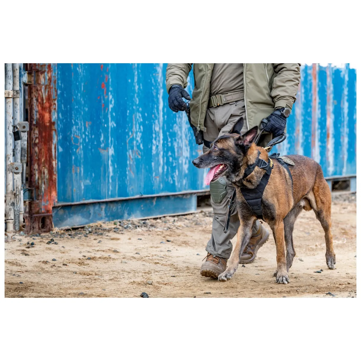 Aros K9 Dog Collar 1.5" (Black)