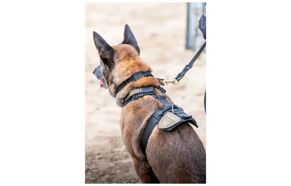 Aros K9 Dog Harness (Black)