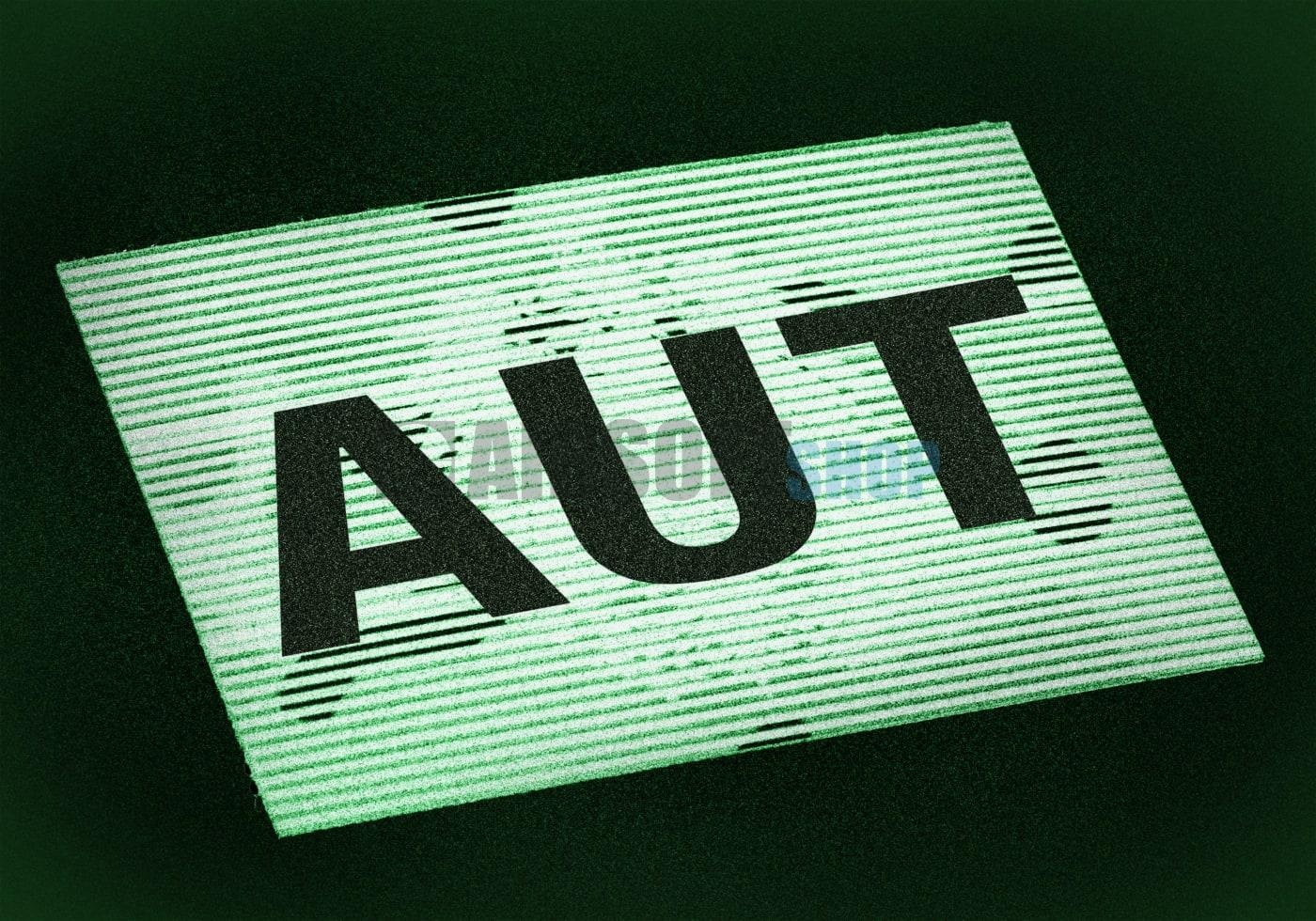 Dual IR Austria Flag Patch (Multicam)