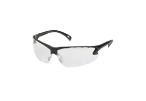 Protective Glasses (Adjustable Temples) (Clear)