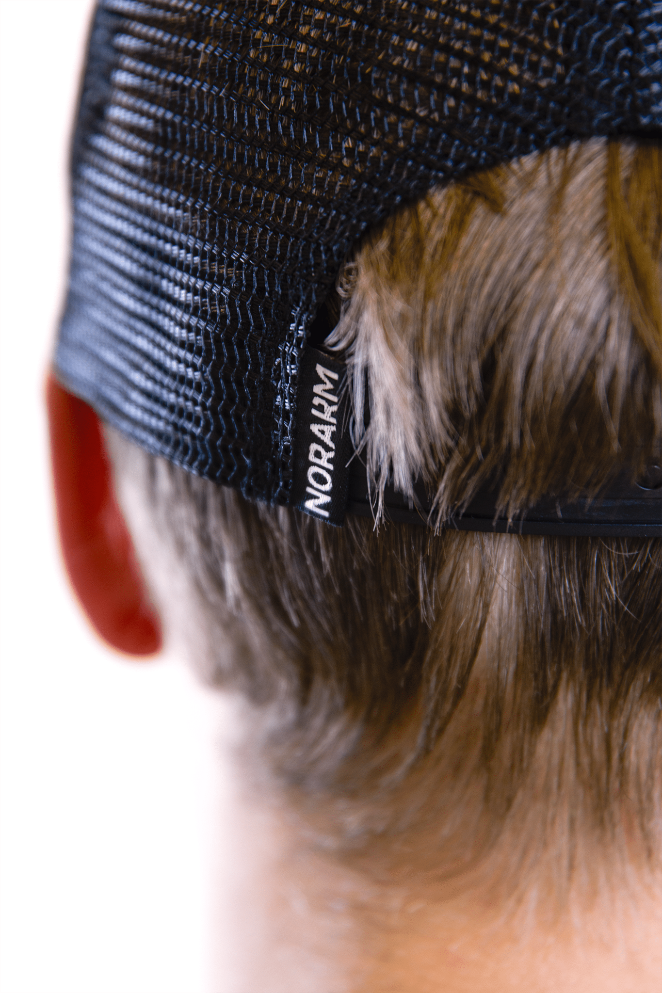 Trucker Cap (Norwegian Woodland)