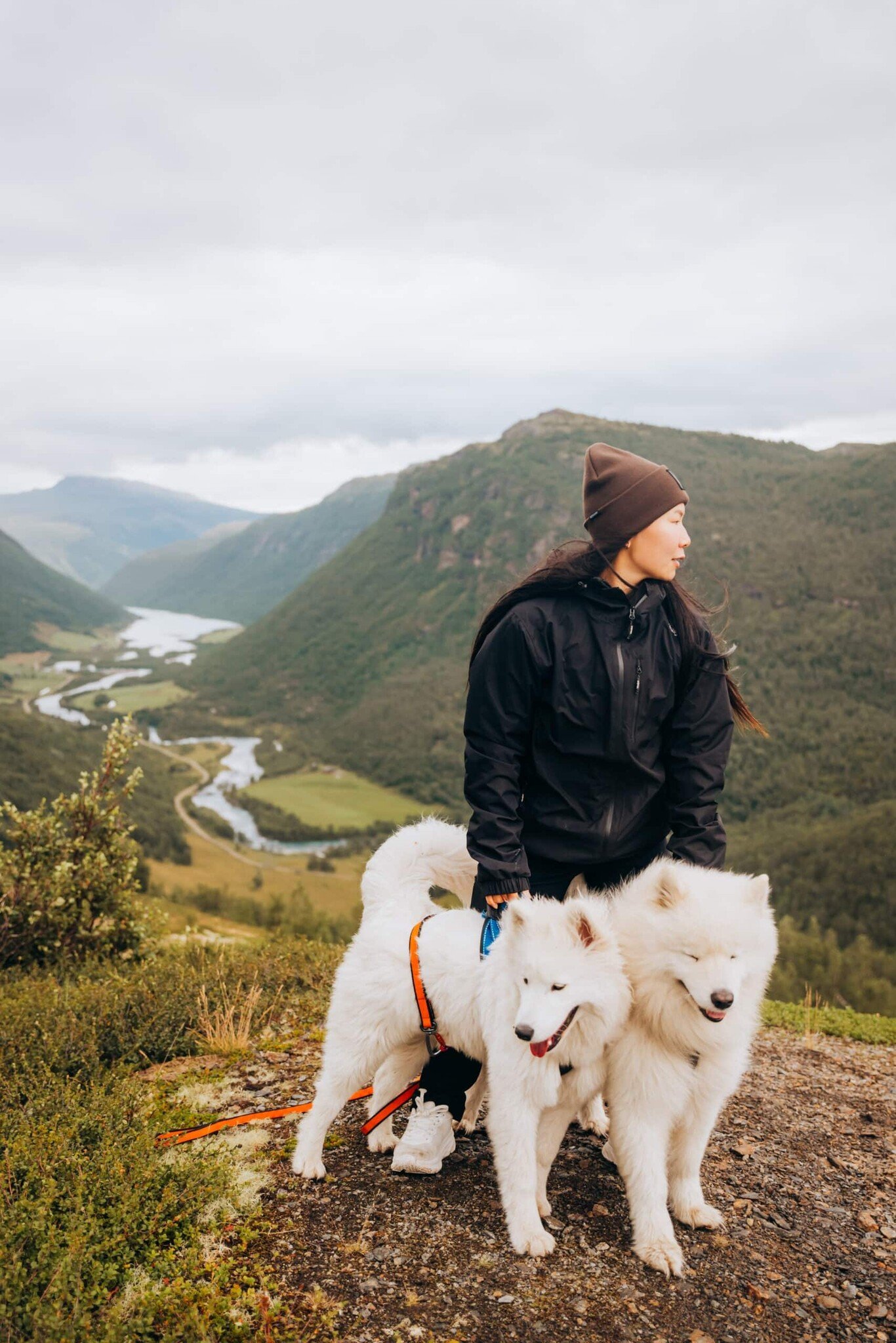 Ramsund Beanie (Savage Green)