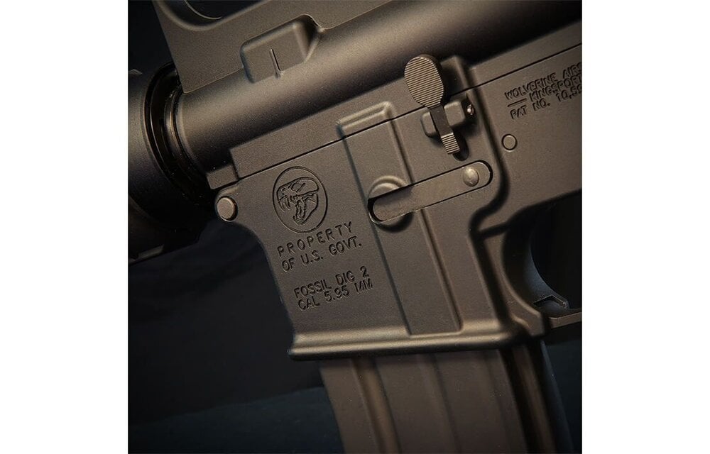 MTW Fossil Dig 2 XM177 E2