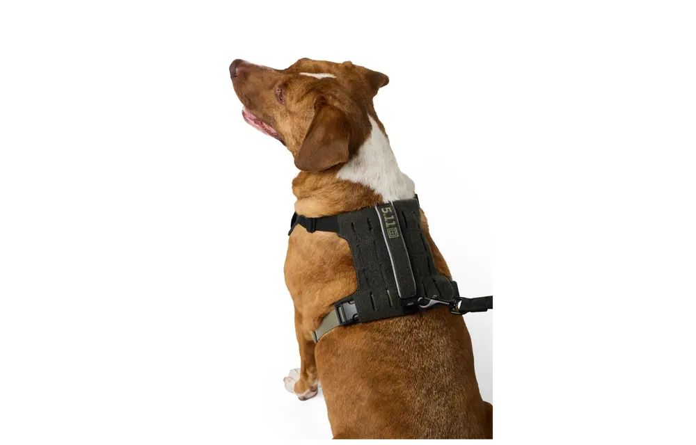 Misson Ready Dog Harness 2.0 (Volcanic)