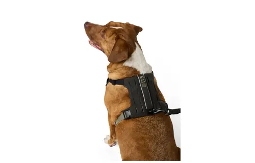 Misson Ready Dog Harness 2.0 (Volcanic)