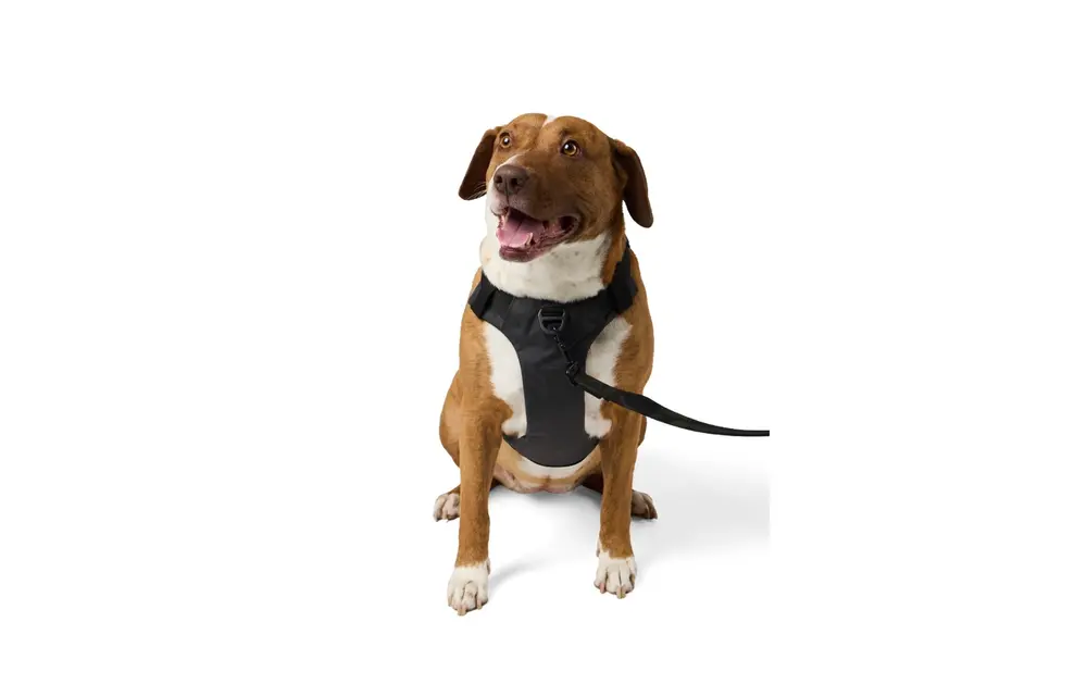 Misson Ready Dog Harness 2.0 (Volcanic)