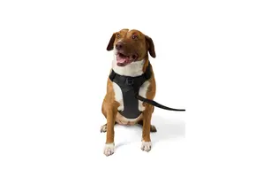 Misson Ready Dog Harness 2.0 (Volcanic)