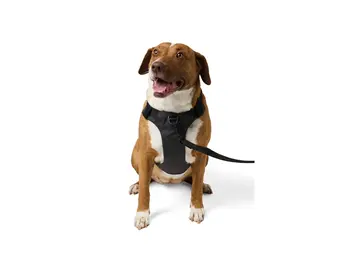 Misson Ready Dog Harness 2.0 (Volcanic)