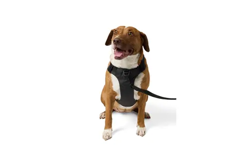 Misson Ready Dog Harness 2.0 (Volcanic)