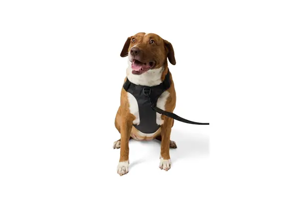 Misson Ready Dog Harness 2.0 (Volcanic)