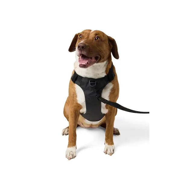 Misson Ready Dog Harness 2.0 (Volcanic)