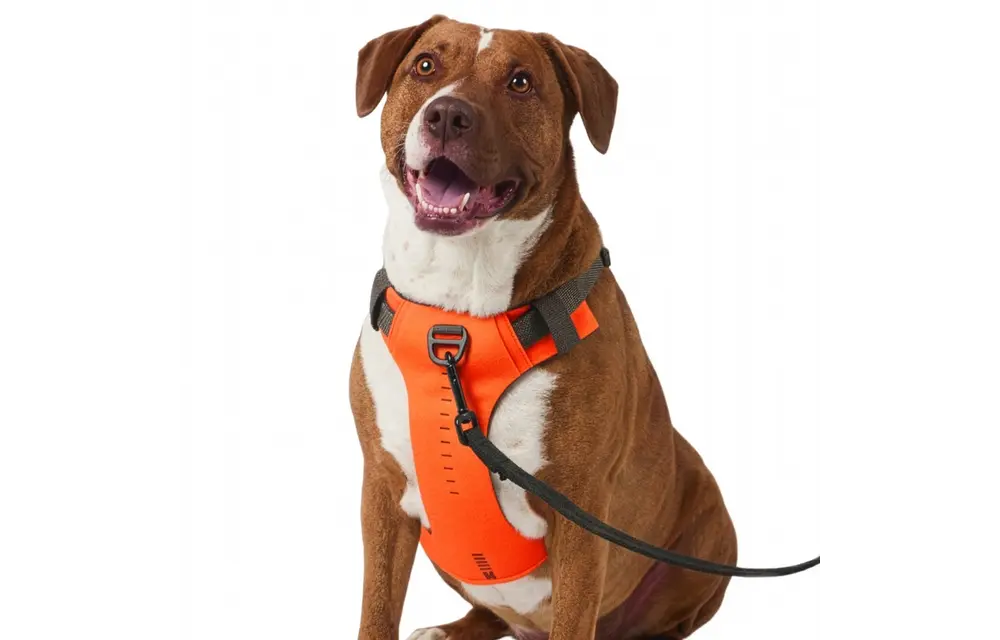 Misson Ready Dog Harness 2.0 (Fluorescent Orange)