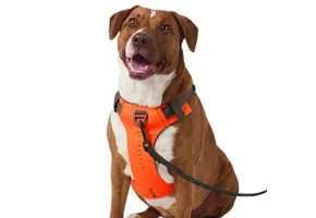 Misson Ready Dog Harness 2.0 (Fluorescent Orange)