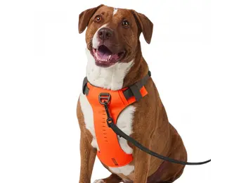 Misson Ready Dog Harness 2.0 (Fluorescent Orange)
