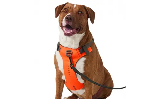 Misson Ready Dog Harness 2.0 (Fluorescent Orange)