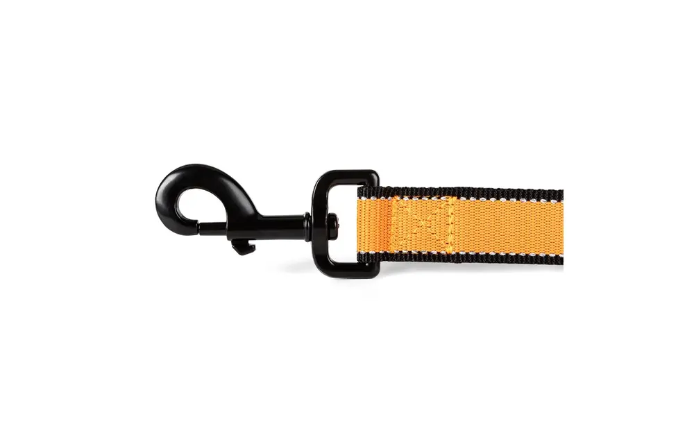 Mission Ready Dog Leash (Fluorescent Orange)