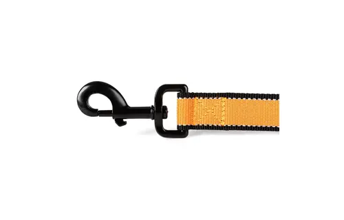Mission Ready Dog Leash (Fluorescent Orange)