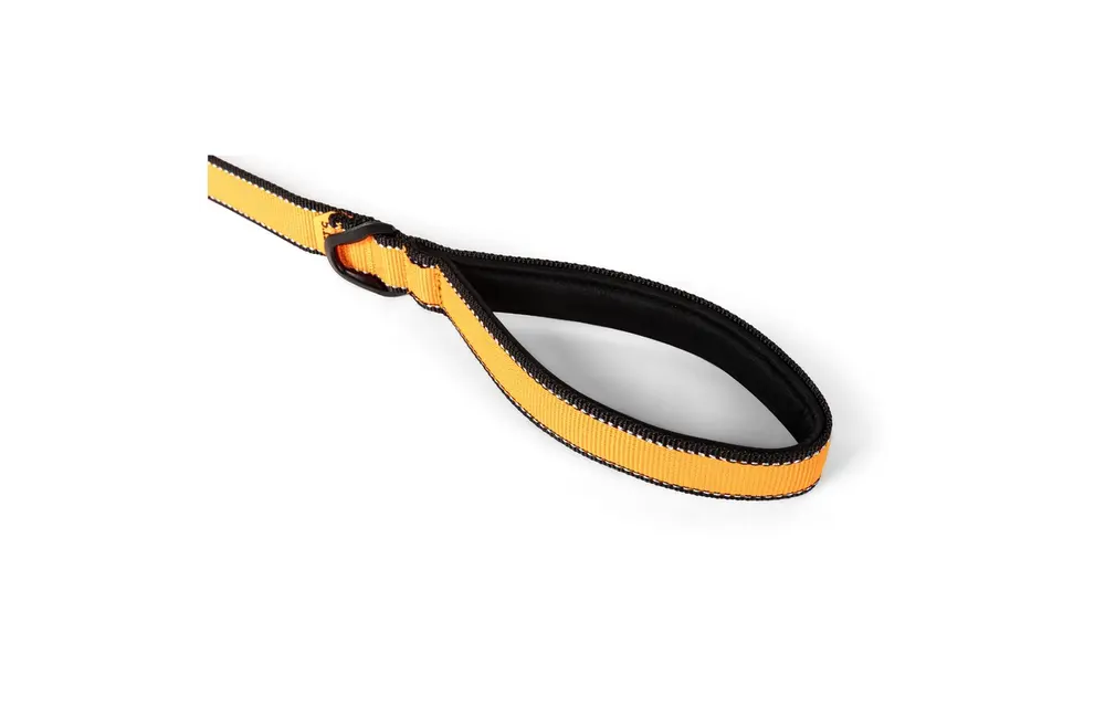 Mission Ready Dog Leash (Fluorescent Orange)