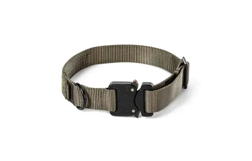 Arros K9 Collar 1.0" (Ranger Green)
