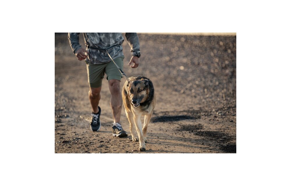Mission Ready Modular Dog Leash (Volcanic)