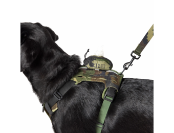 Mission Ready Waste Pouch (Woodland Camo)