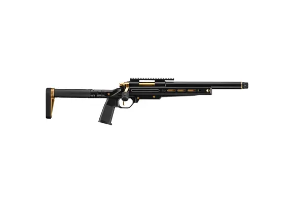 VSR-ONE (Black/Gold)
