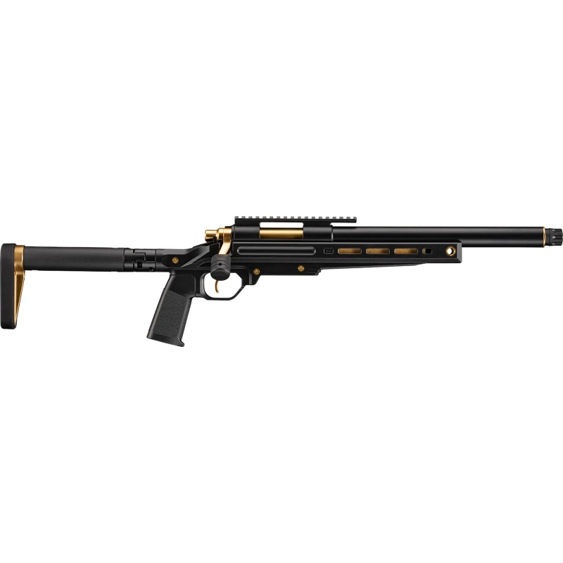 VSR-ONE (Black/Gold)