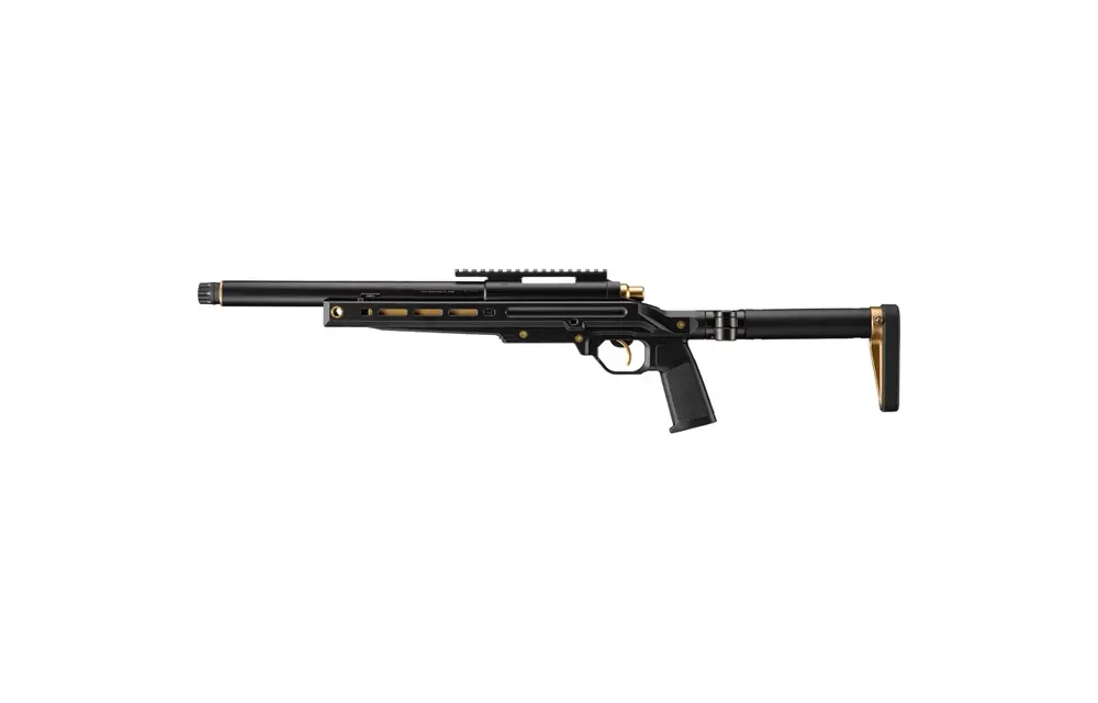 VSR-ONE (Black/Gold)