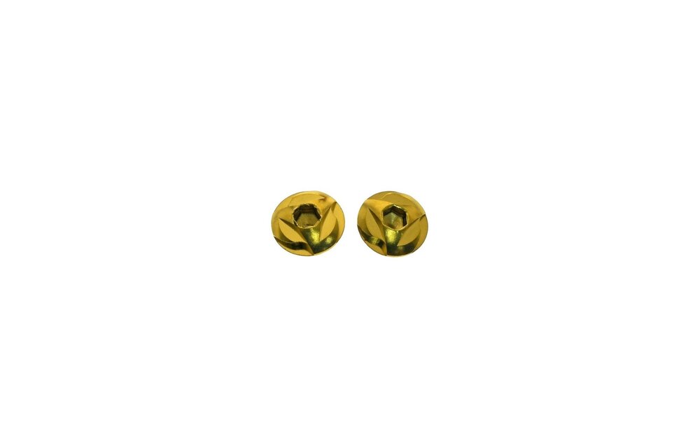 Stainless Steel Grip Screws Hi-Capa (Gold)