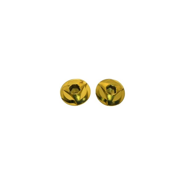 Stainless Steel Grip Screws Hi-Capa (Gold)