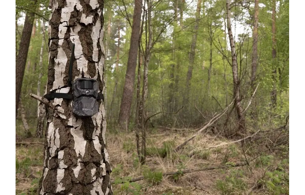 Wildlife Camera T16