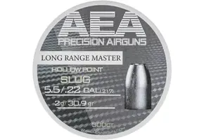 Long Range Master HP Slugs 5.5mm .22 (30.9 grain)