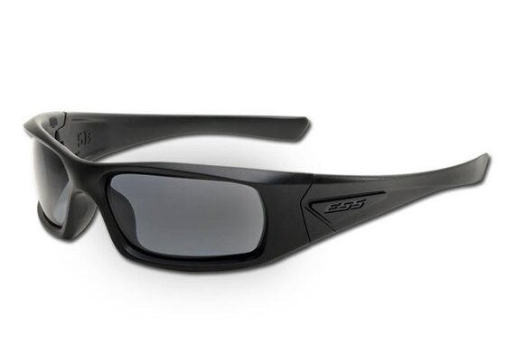 5B (Black Frame - Smoke Gray Lenses)