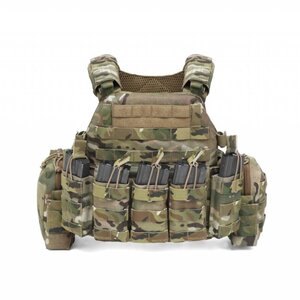 DCS DA 5.56mm (Multicam)
