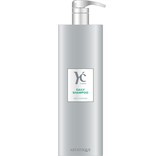 Artistique YC Daily Shampoo 1000ml