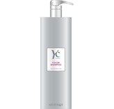 Artistique YC Color Shampoo 1000ml