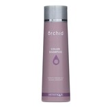 Artistique Orchid Color Shampoo 300ml