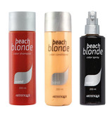 Artistique Beach Blonde Color Sand Voordeel set