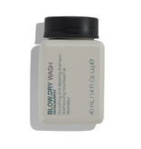 Kevin Murphy  Blow Dry Wash 40ml